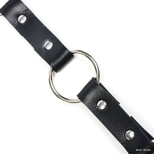 Anal Hooks EverydayUse and Kinky with Anal 5853 Leash Collar Hook 1008